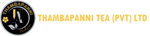 Thambapanni Tea